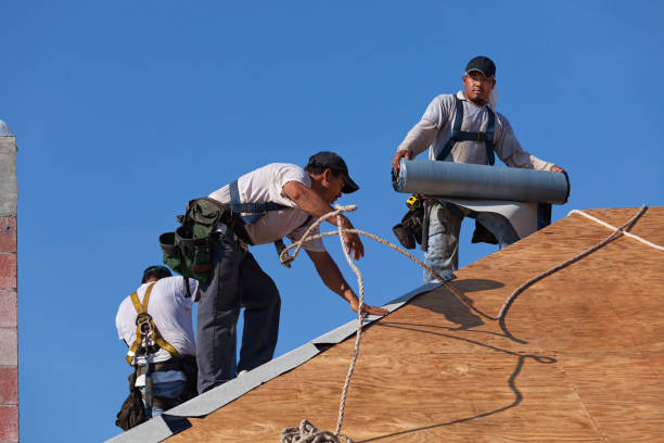 Best Flat Roof Repair Services  in Noroton Heights, CT
